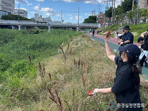 환경실천연합회 ‘하천 생태계를 잇는 초록’ 사업 전개… 토종식물 씨드볼로 생태계 복원 나서