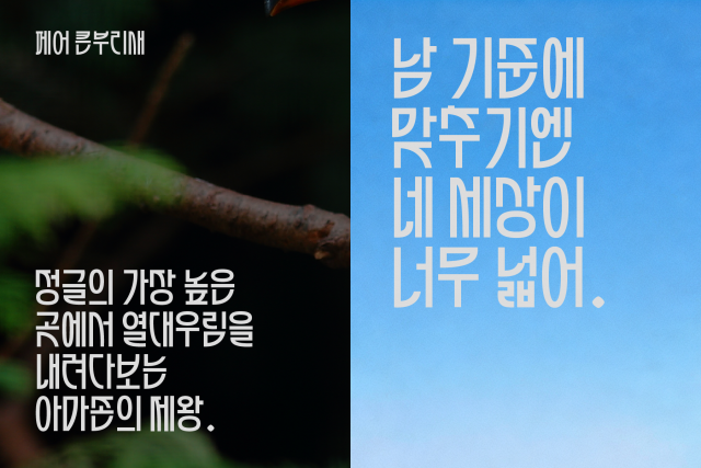 제33회 한글 글꼴디자인 공모전 입상작 ‘페어 큰부리새’ 무료로 공개